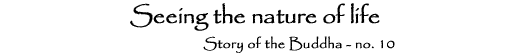 10. Seeing the nature of life