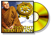 Insight Meditation