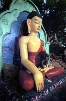 Buddha Statue