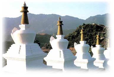 Tibetan Style Chortens